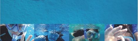Nage libre avec les dauphins en Egypte