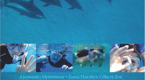 Nage libre avec les dauphins en Egypte