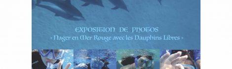 EXPOSITION DE PHOTOS aux Bains de Cressy
